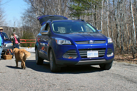 Editorial 2014 ford escape se ecoboost jp 02 10811