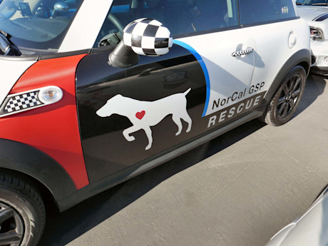 Editorial 44 bh mini takes the states 2016