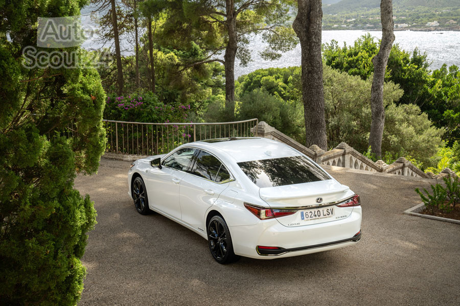 Lexus ES 300h F SPORT 08.JPG