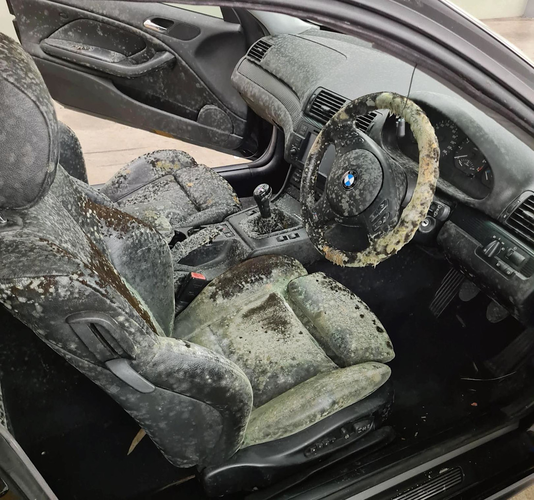 Editorial moldy bmw 01 lallous123