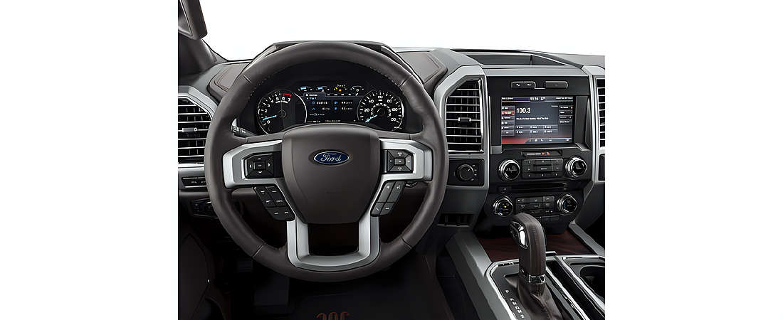 Ford F-150 2017 134