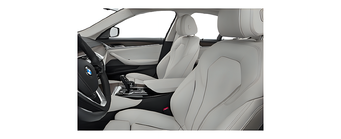 BMW 5 Series 2019 8