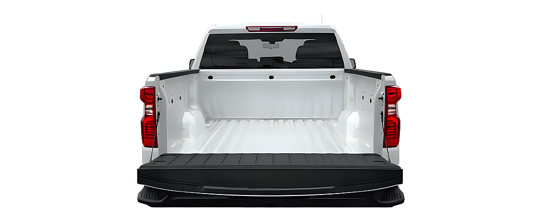 Chevrolet Silverado 1500 2020 22