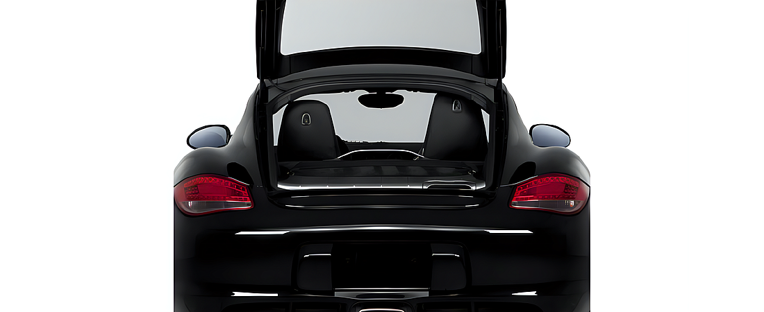 Porsche Cayman 2011 13