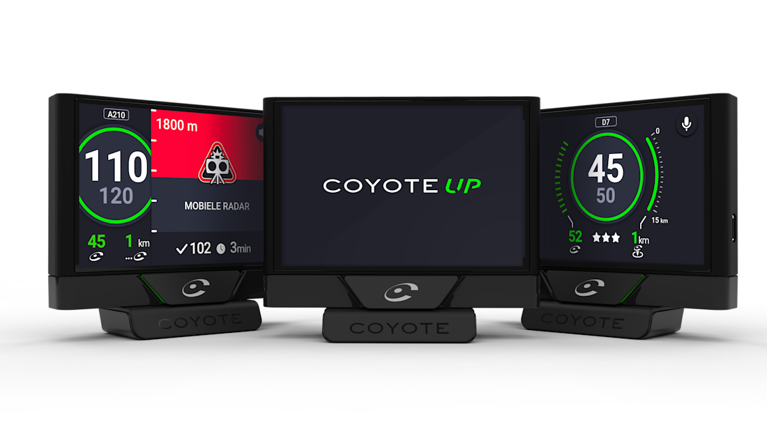 Coyote