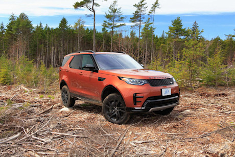 Editorial discovery 37 of 43