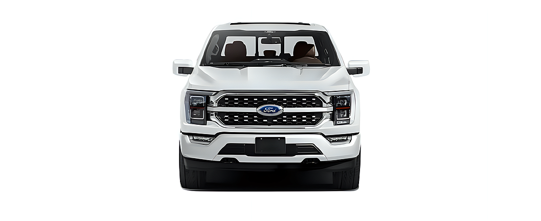 Ford F-150 2022 110