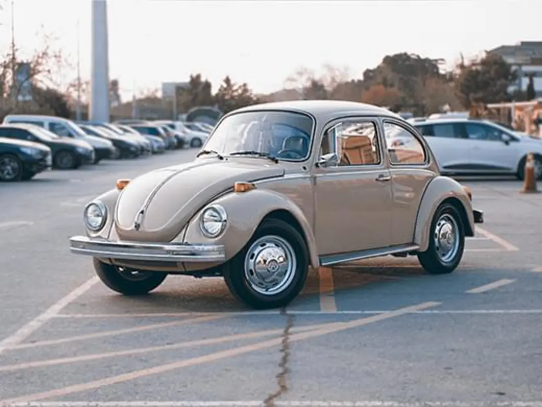vw-kaefer-xs.jpg vw-kaefer-xs.jpg