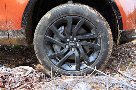 Editorial discovery 39 of 43