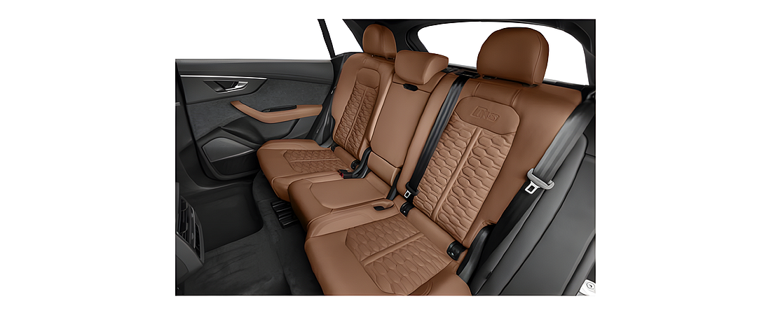 Audi-RSQ8-2026-9