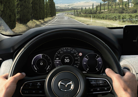 ADV68 - AutoScout24 adviespagina - head-up display foto
