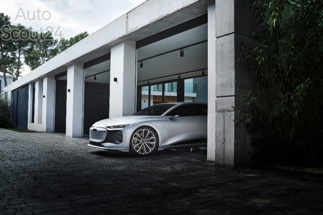 A212319_medium (1).jpg