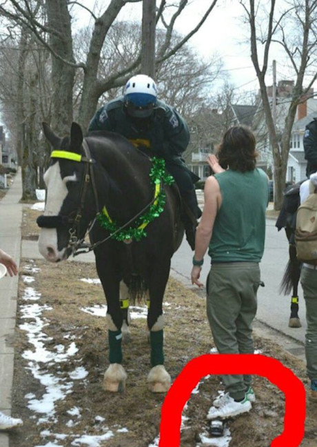 Editorial hrp horse
