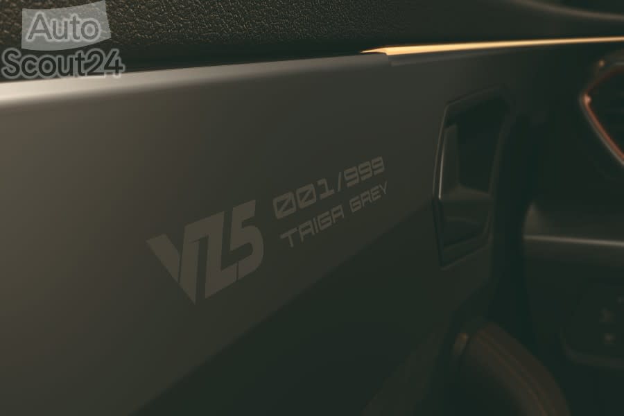 Nuevo-CUPRA-Formentor-VZ5-Taiga-Grey_04_HQ(1).jpg