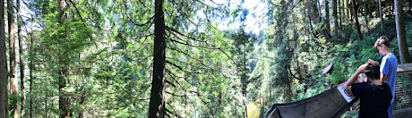 Editorial 02 mb capilano panorama