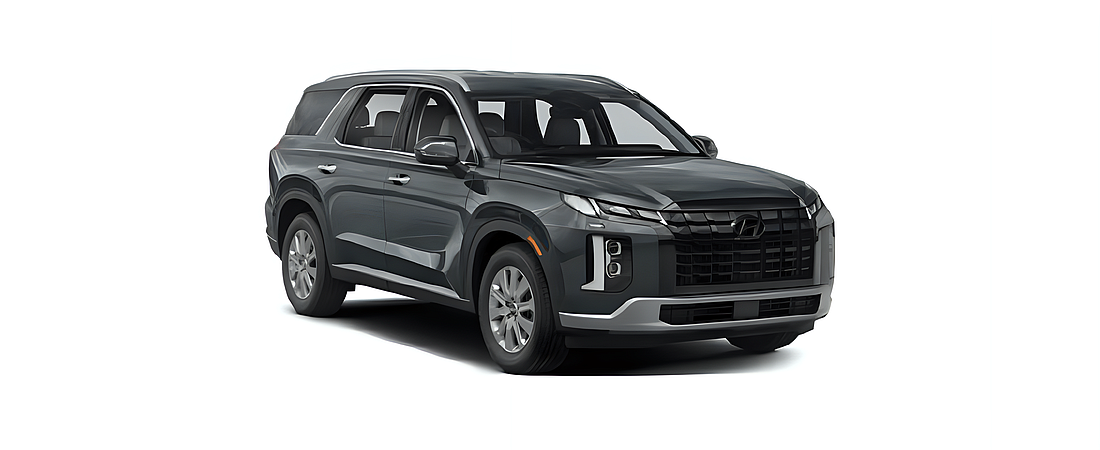 Hyundai Palisade 2024 30