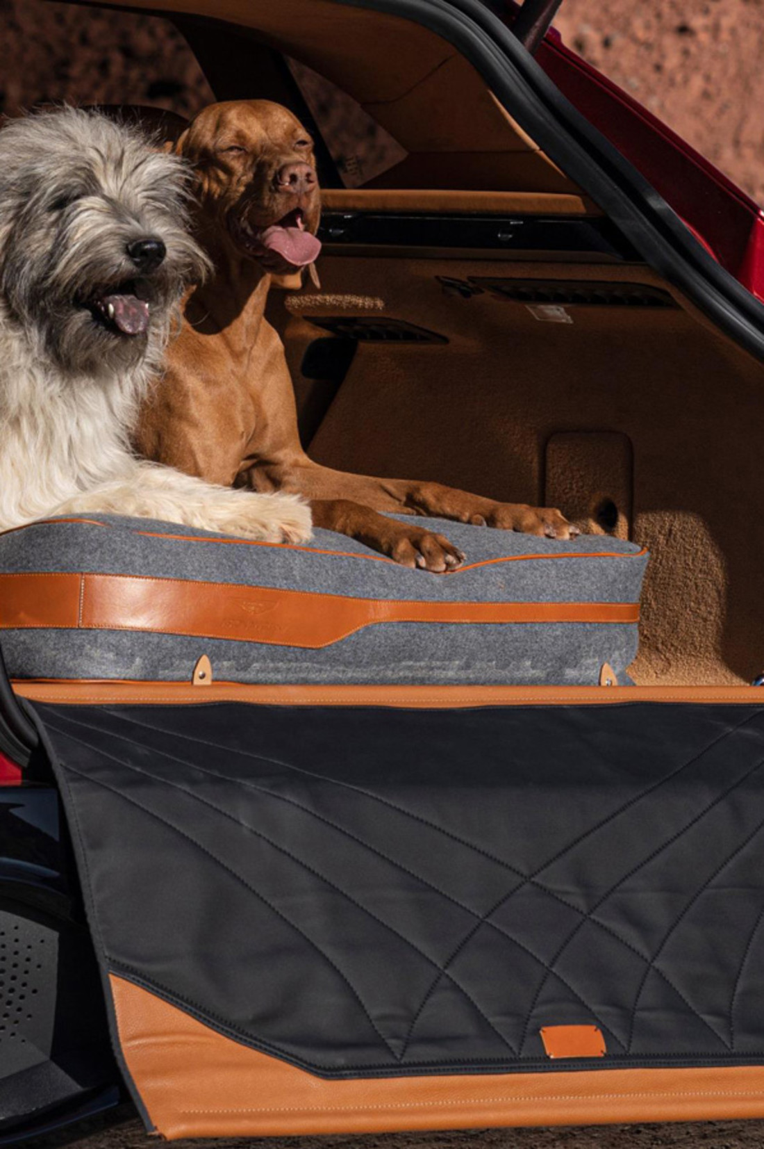 Aston Martin DBX Pet Pack (1).jpg