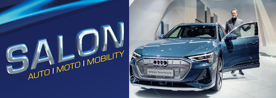 SALON_LOGO_3D Audi.jpg