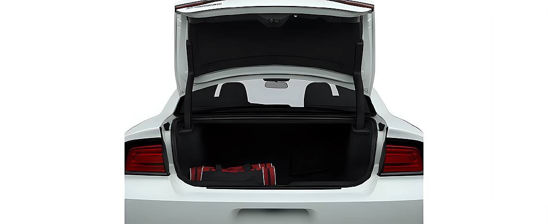 Dodge Charger 2014 12