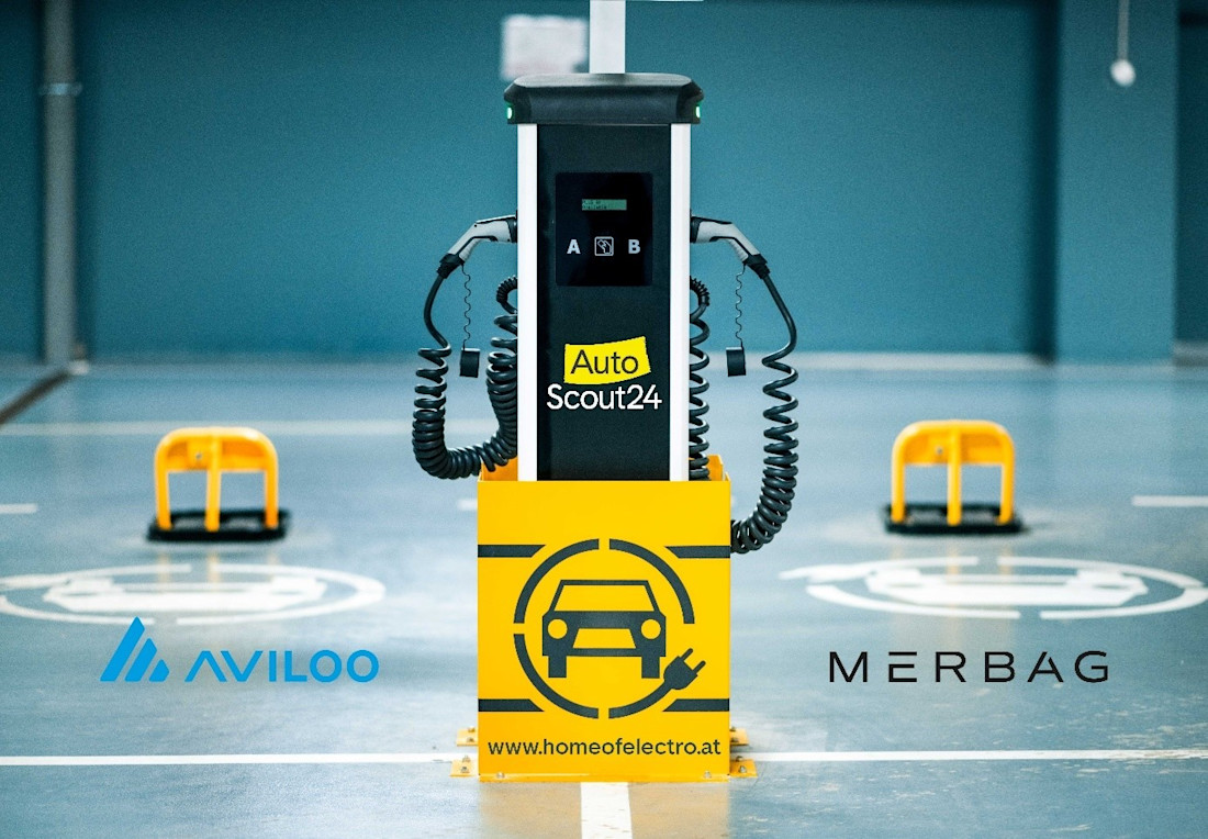 Gebrauchte E-Autos? Aber sicher!