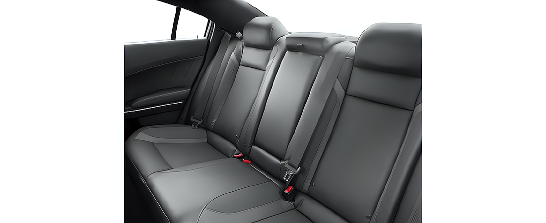 Dodge Charger 2016 45