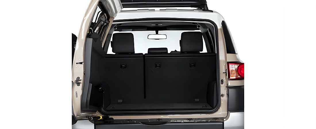 Toyota FJ Cruiser 2010 13