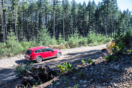 Editorial 2017 volkswagen golf alltrack 13 bm