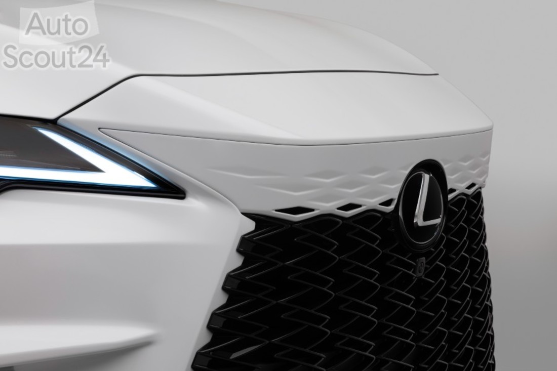 LEXUS RX 500h FSPORT WHITE - DETAIL - FRONT GRILL A v2(1).jpg
