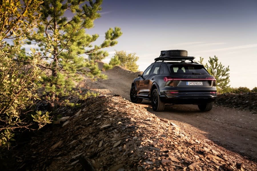 Audi-Q8-e-tron-edition-Dakar-4-960x640.jpg