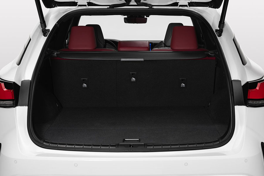 Lexus-RX-2023-1600-58.jpg
