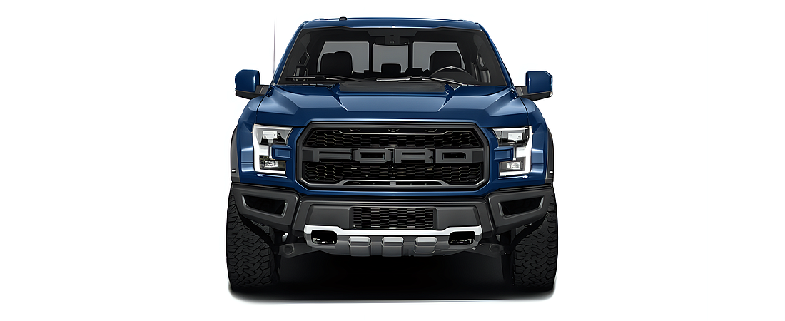 Ford F-150 2017 183