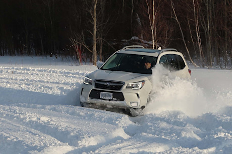 Editorial subaru forester 2017 by jil mcintosh 13