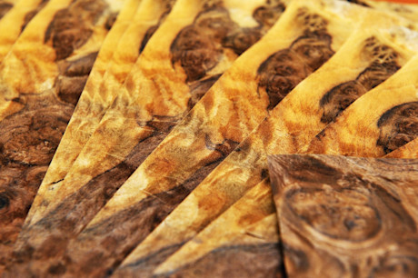 Editorial 12 bentley root burls