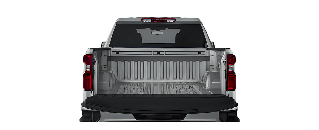Chevrolet Silverado 1500 2021 48