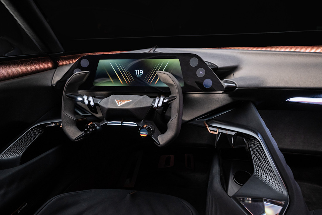 Volante del Cupra Tindaya.jpg