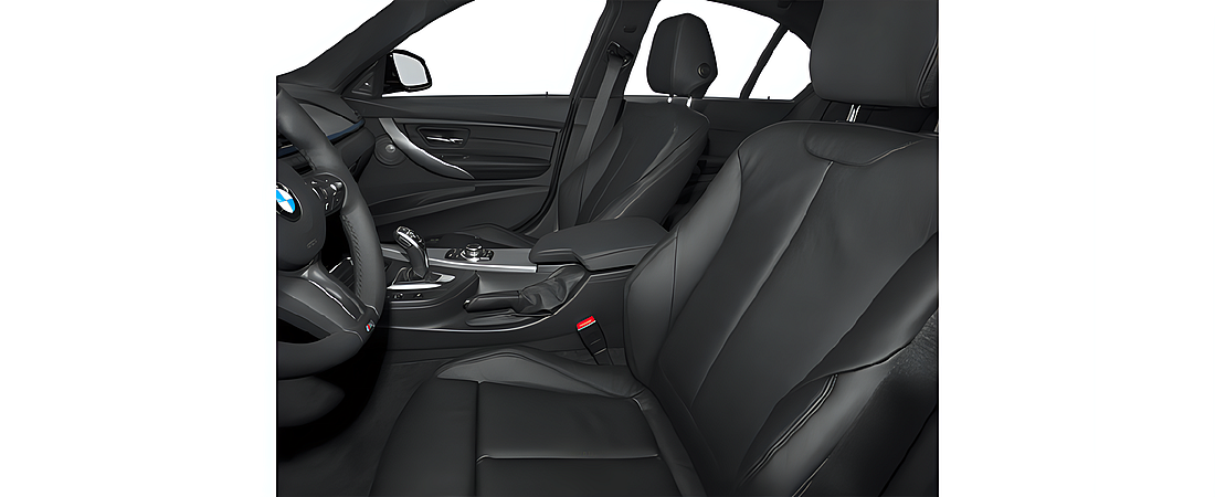 BMW 3 Series 2014 80
