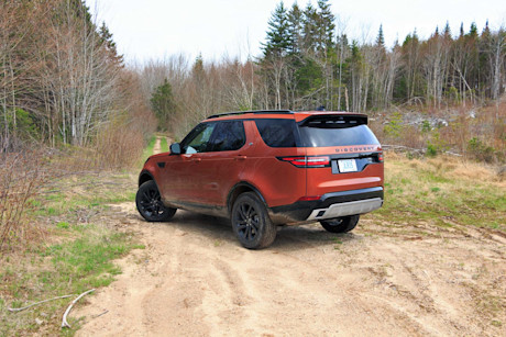 Editorial discovery 42 of 43