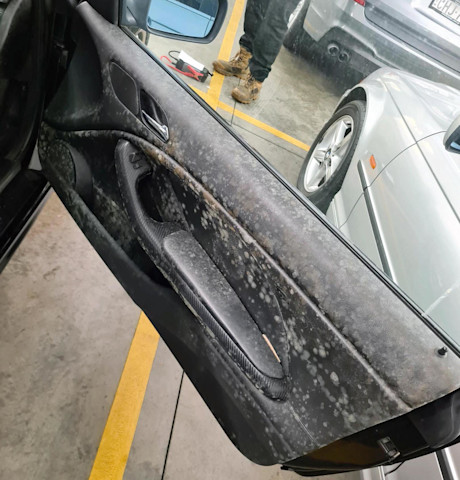 Editorial moldy bmw 04 lallous123
