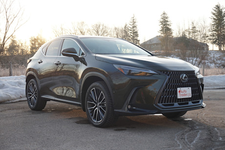 Editorial 2025 lexus nx 350h td jl 250507 27