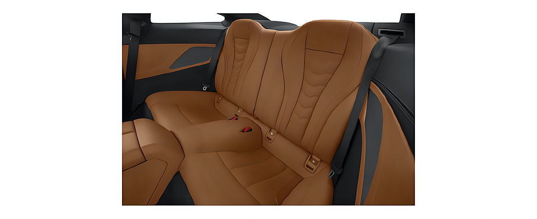 BMW 8 Series 2021 25