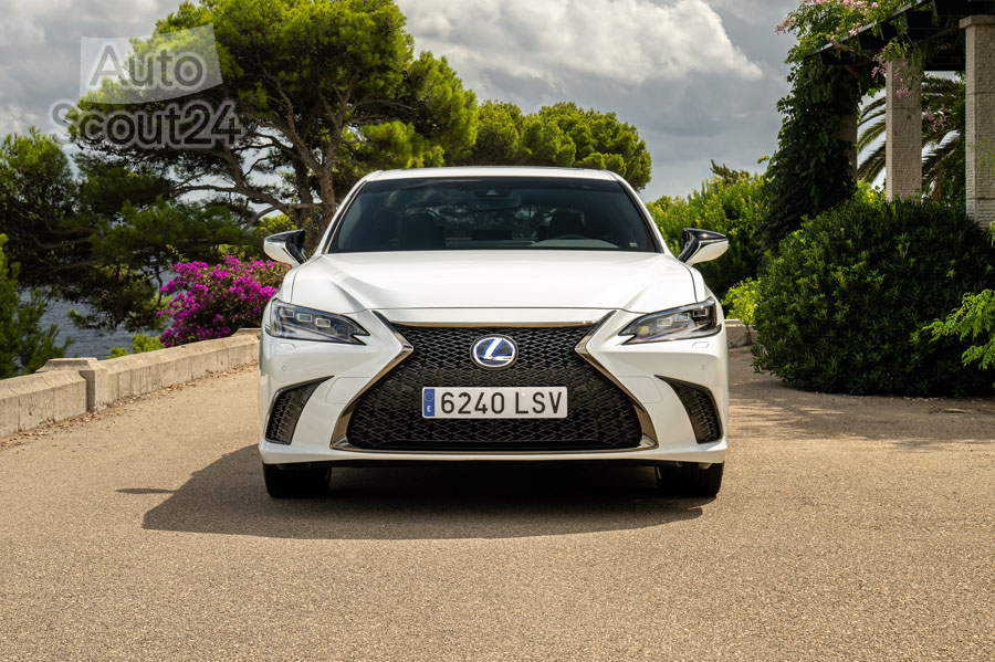 Lexus ES 300h F SPORT 06.JPG