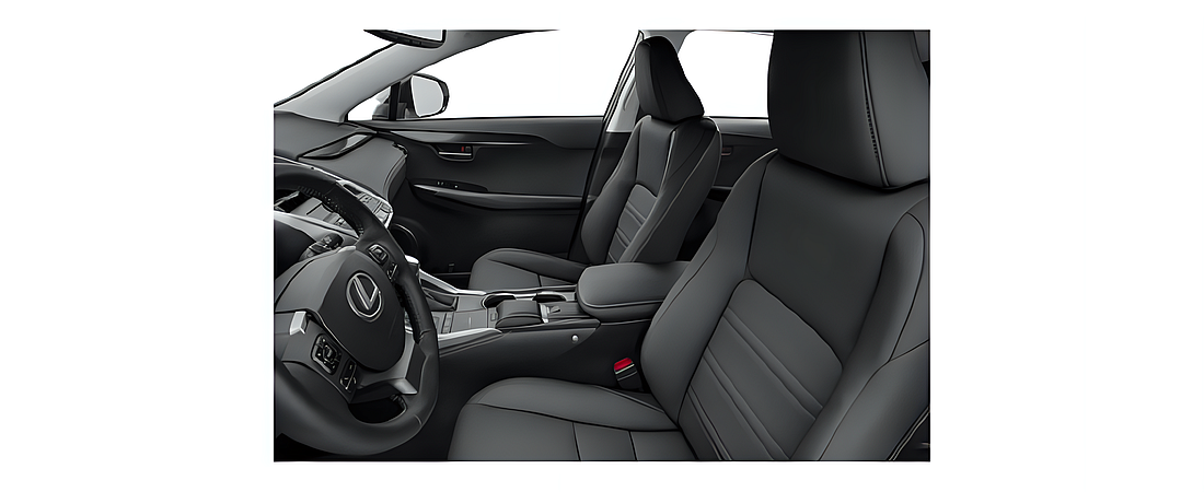 Lexus NX 2020 21