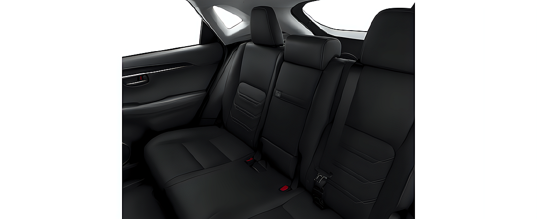 Lexus NX 200t 2017 13