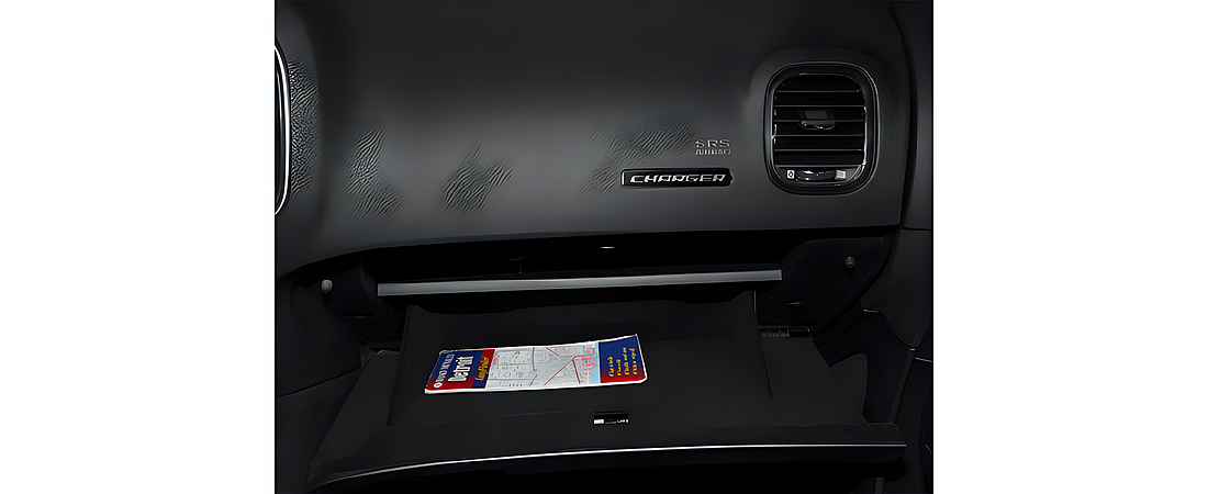 Dodge Charger 2014 14