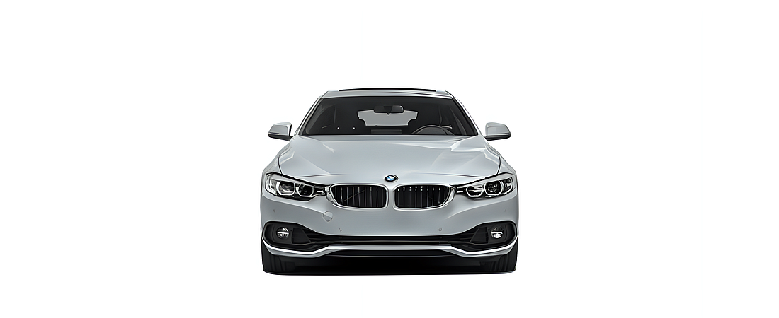 BMW 4 Series 2019 49