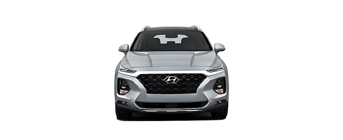 Hyundai Santa Fe 2020 30