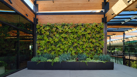 For Genesis, Design is a Competitive Sport Image