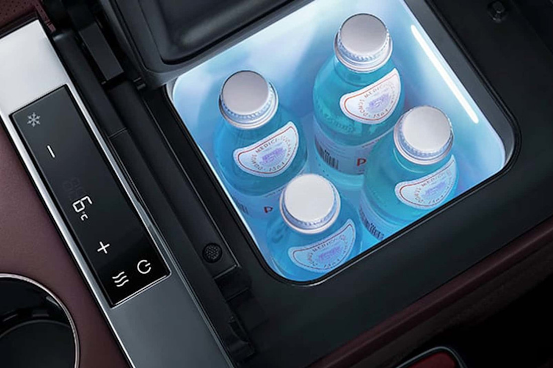 denza-z9-gt-interior (1).jpg