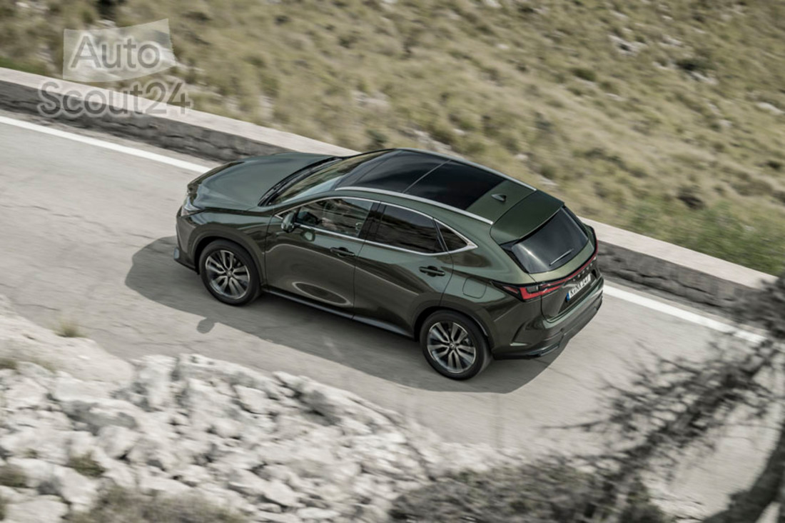 prueba-lexus-nx-2021 (9).jpg