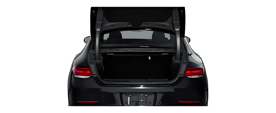 Mercedes-Benz CLS-Class 2019 23